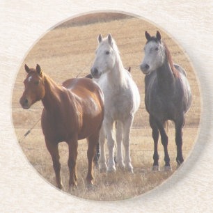 Equine kuriositet 3 underlägg
