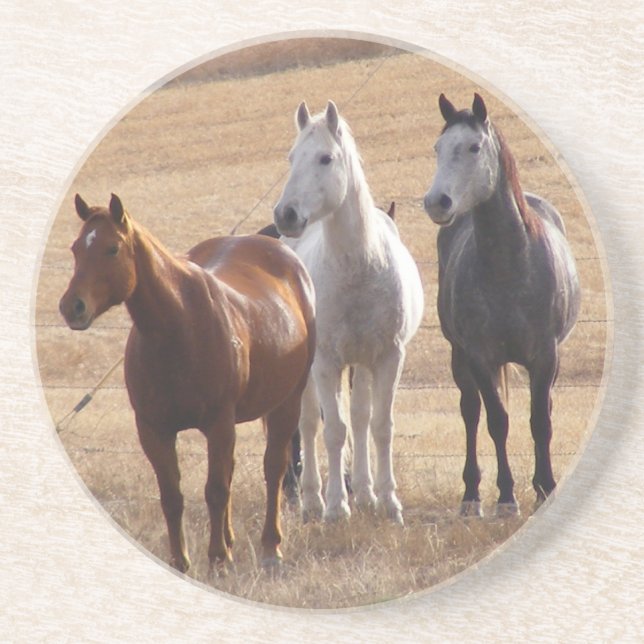 Equine kuriositet 3 underlägg (Framsidan)