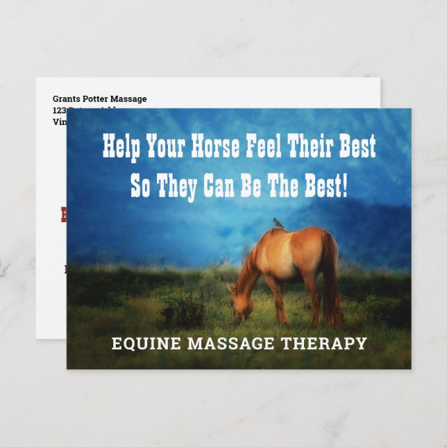 Equine Massage Therapist Horse Business Postailer Vykort (Fram/baksida)