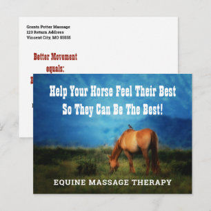 Equine Massage Therapist Horse Business Postailer Vykort