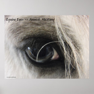 Equine Öga - Spanska Mustang Poster