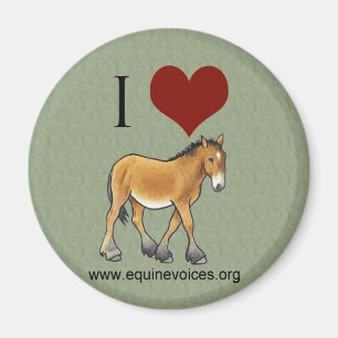 Equine uttrycker mig älskar Gulliver den gröna Magnet