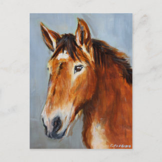 Equine Voices Gulliver postkort Vykort