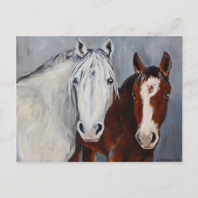 Equine Voices Mystic och Wyatt Postcard Vykort (Framsida)