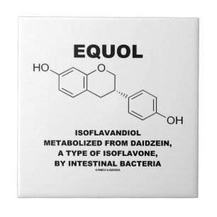 Equol Isoflavandiol Metabolized från Daidzein Kakelplatta