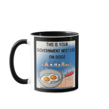 Er DOGE-regering, en demokratimetafor