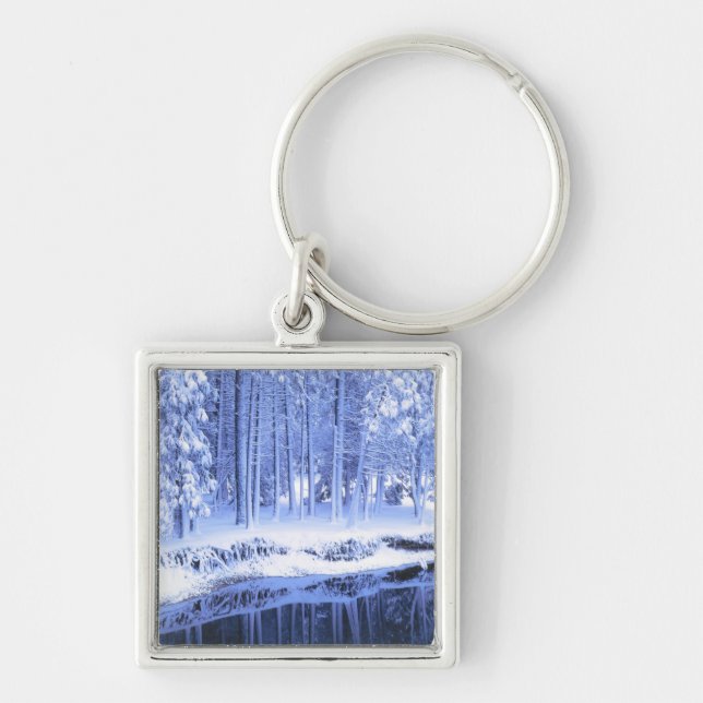 ERA NATIONELLA PARK, KALIFORNIEN. USA.Färsk Fyrkantig Silverfärgad Nyckelring (Framsidan)