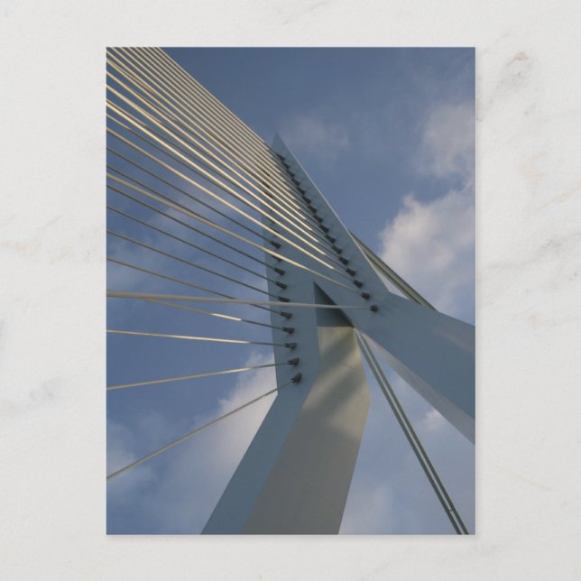 Erasmus Bridge, Rotterdam Vykort (Framsida)