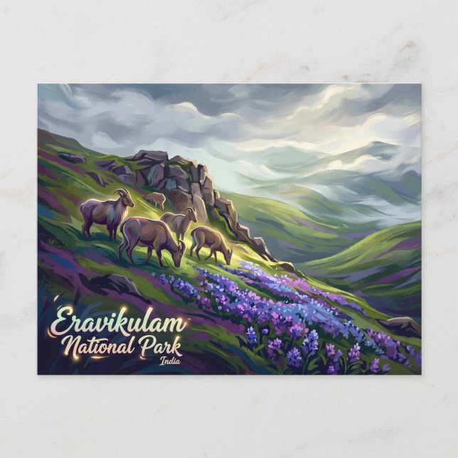 Eravikulam nationalpark Indien Vykort (Framsida)