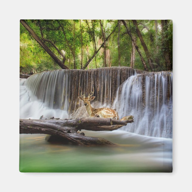 Erawan Waterfall med Hjort Relaxing Magnet (Framsidan)