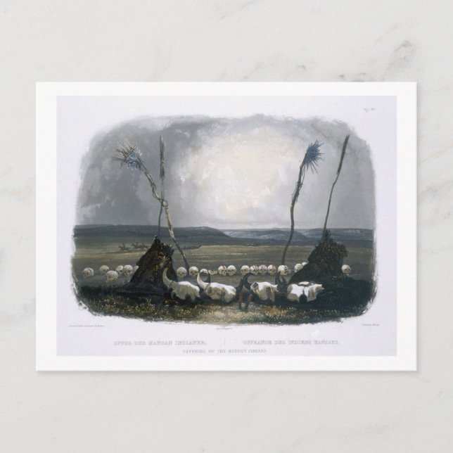 Erbjudande för mandan indians, tallrik 14 från Vol Vykort (Framsida)