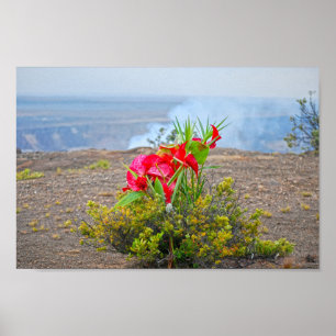 Erbjudande till Pele, Hawaiian Volcano Goddess Poster
