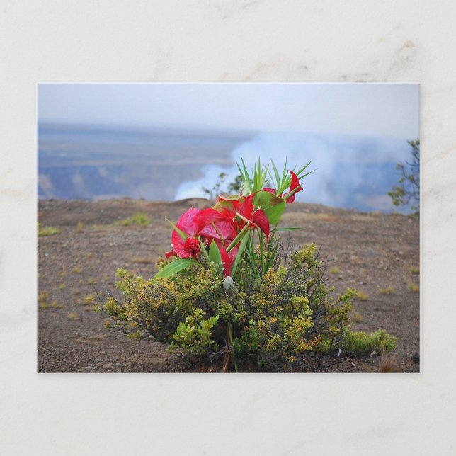 Erbjudande till Pele, Hawaiian Volcano Goddess Vykort (Framsida)