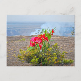 Erbjudande till Pele, Hawaiian Volcano Goddess Vykort