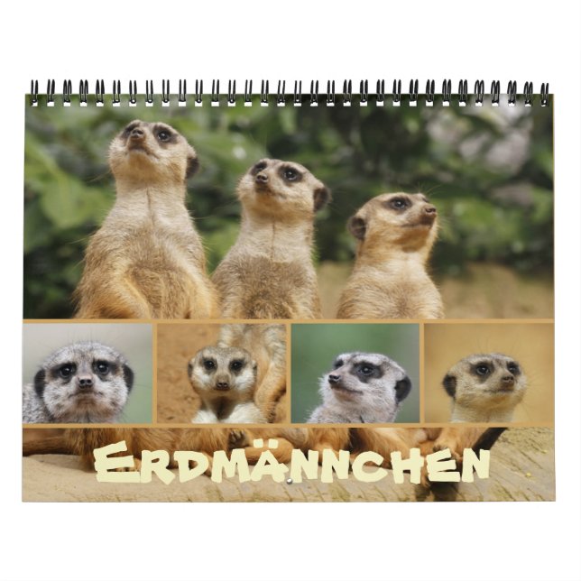 Erdmännchen 002 kalender (Omslag)