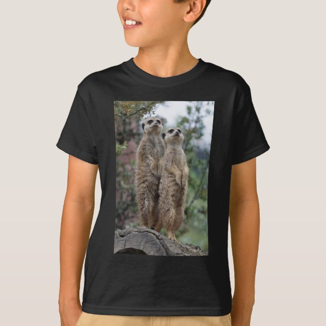 Erdmännchen Dreamteam Tee (Framsida)