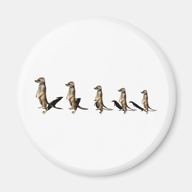 Erdmännchen in Reihe Magnet (Framsidan)