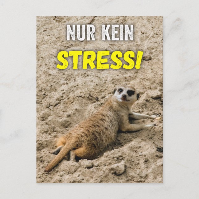 Erdmännchen-Postkarte ‚Nur kein Stress!‘ Postkarte Vykort (Framsida)