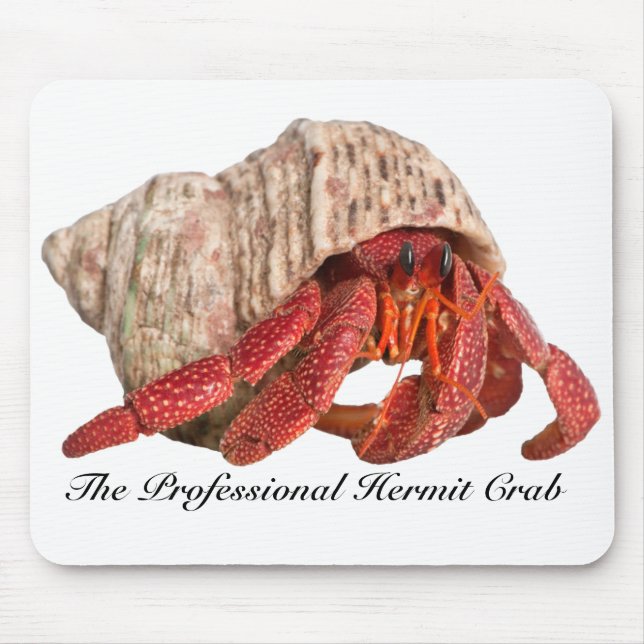 Eremitkrabba Mousepad, den yrkesmässiga Musmatta (Framsidan)
