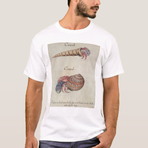Eremitkrabba Tee