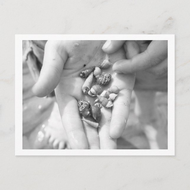 eremitkrabbor vykort (Framsida)