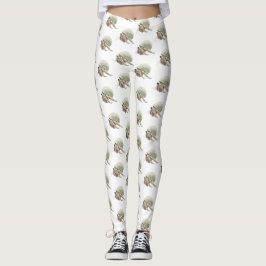 Eremitkräftstrumpor eller tights
