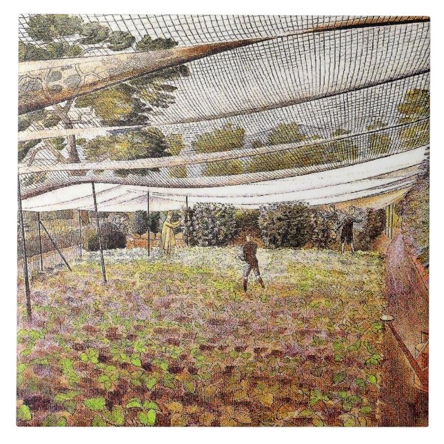 Eric Ravilious art, jordgubbsnetterna, Kakelplatta (Framsidan)