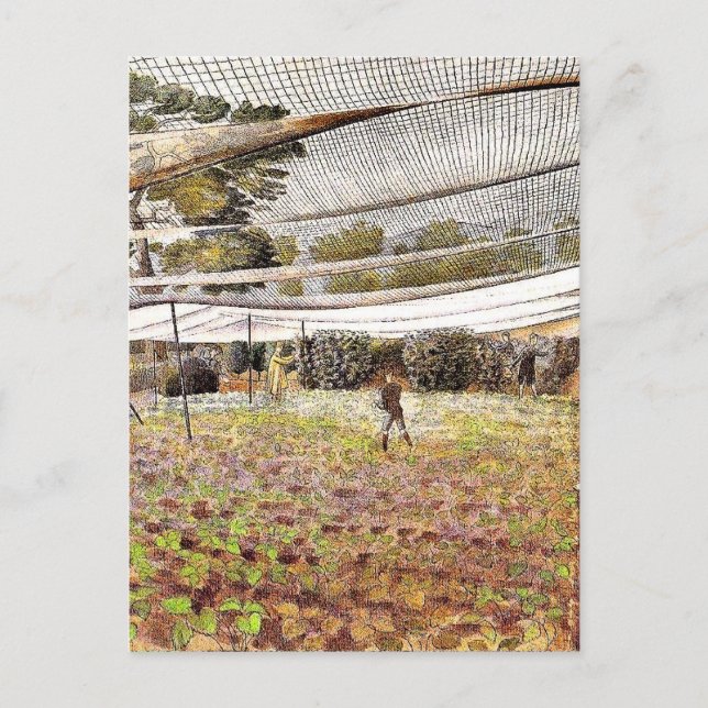 Eric Ravilious-konst, jordgubbsnetter, Vykort (Framsida)