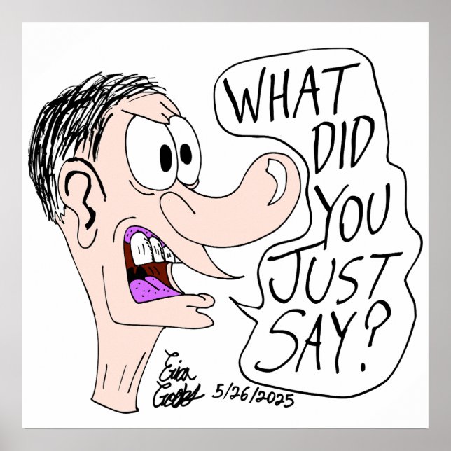 Erica Crooks Comics - What did you just say ? Poster (Framsidan)