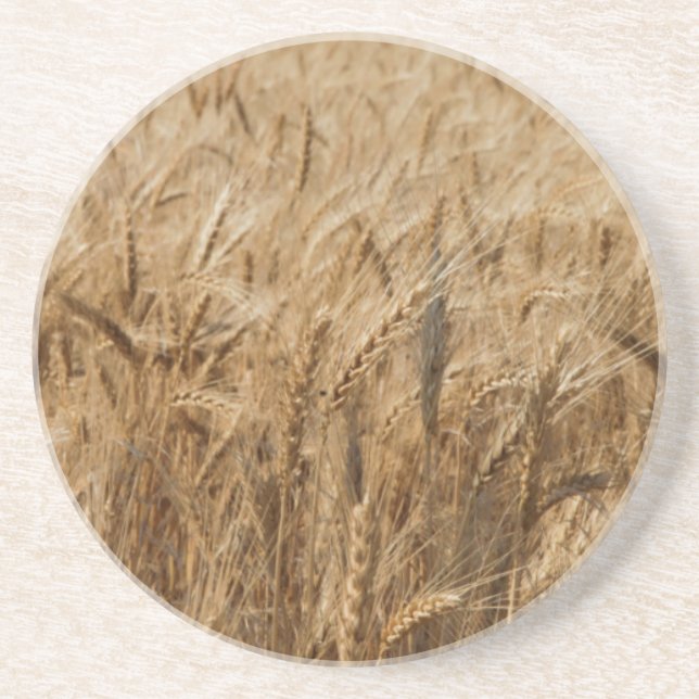 Erick Oklahoma rutt 66 Underlägg Sandsten (Framsidan)