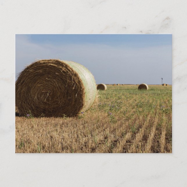 Erick, Oklahoma, USA - Route 66 Vykort (Framsida)