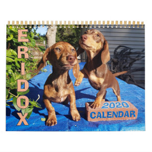 Eridox Dachshunds 2020-kalender Kalender