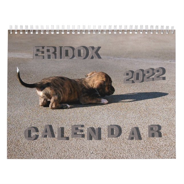 Eridox Dachshunds 2022 Calendar Kalender (Omslag)
