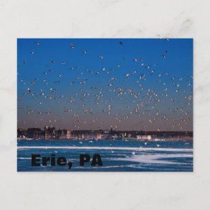 Erie, PA stadsbild Vykort