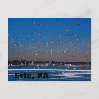 Erie, PA stadsbild Vykort