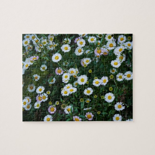 Erigeron Daisy Puzzle Pussel (Horisontell)