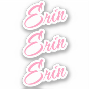 Erin Decorative Namn i Rosa x3-fästare Klistermärken