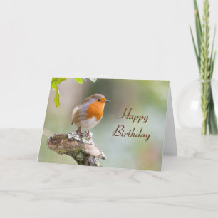 Erithacus rubecula kort