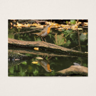Erithacus rubecula visitkort