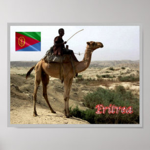 Eritrea - Camel - Poster