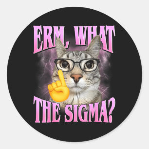 Erm Vad Är Sigma_ Roligt Humor Katt Meme med Runt Klistermärke