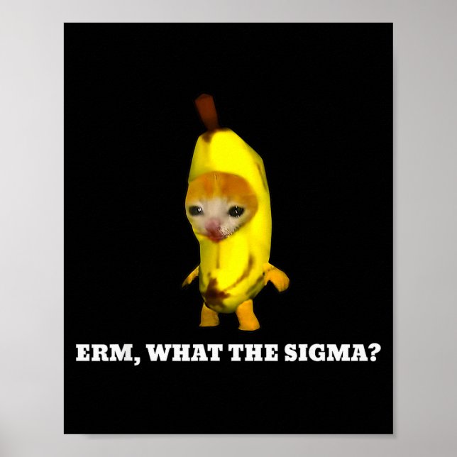 Erm, Vad Sigma_ Katt Meme Män Kvinnor Flickor Barn Poster (Framsidan)