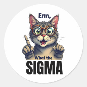 Erm What the Sigma Funny Cat Lovers Runt Klistermärke
