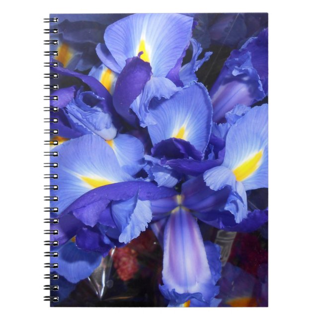 Ermengarde Anteckningsbok (Framsidan)