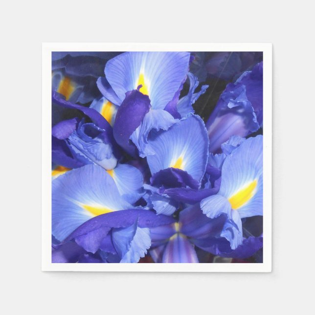 Ermengarde Pappersservett (Framsidan)