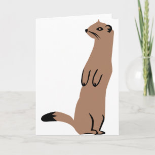 Ermine - hermelin - vessla kort