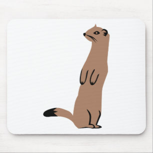 Ermine - hermelin - vessla musmatta