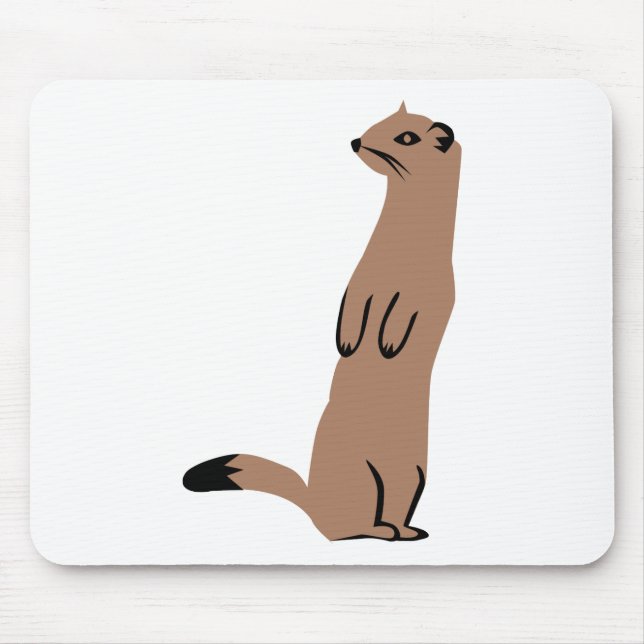 Ermine - hermelin - vessla musmatta (Framsidan)