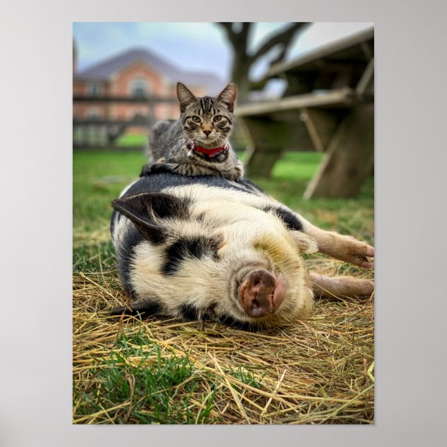 Ernest & Sassy Print! Poster (Framsidan)