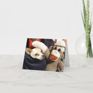 Ernie Sock monkey och Chihuahua-kortet Kort